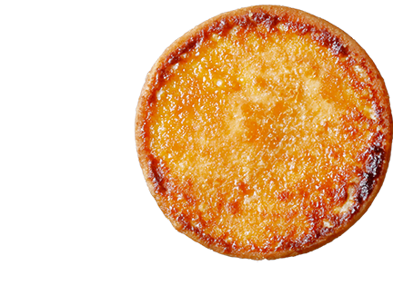 コガッジオのイラスト