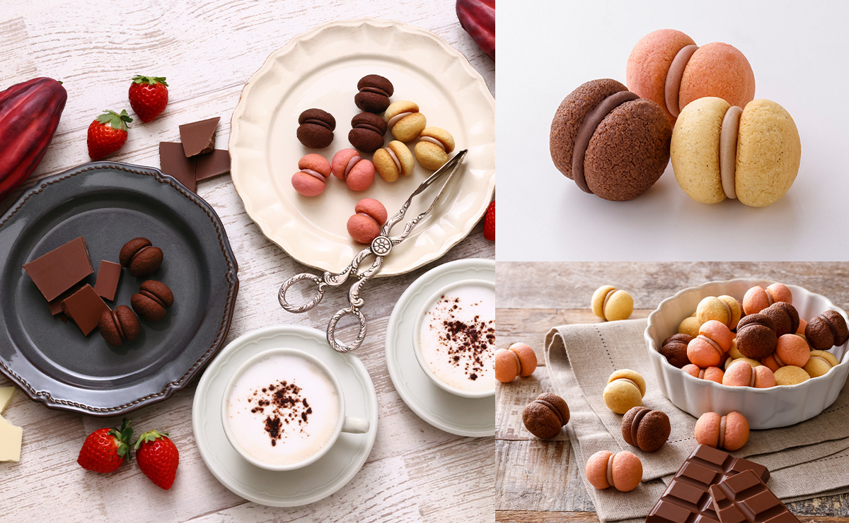 サクッチ・ホロッチ