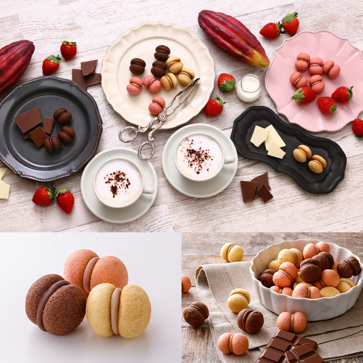 サクッチ・ホロッチ